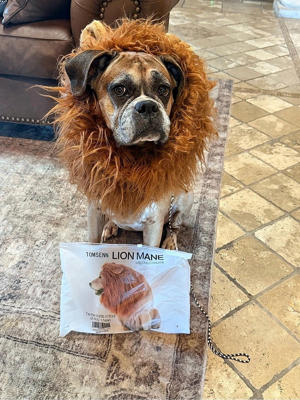 Tomsenn Lion Mane for Dog Costume Brown & Orange